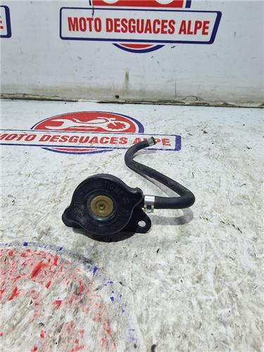 TOMA DE ADMISION SUZUKI Burgman