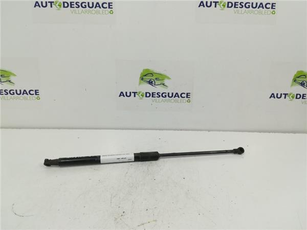 amortiguador porton trasero izquierdo citroen