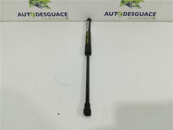 Amortiguador Porton Trasero Renault