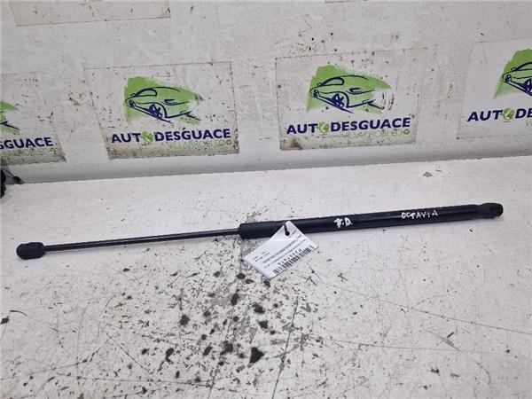 Amortiguador Porton Trasero Derecho