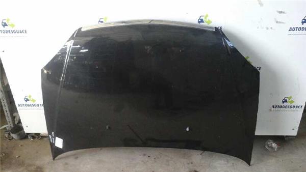 capo tata indigo marina 14