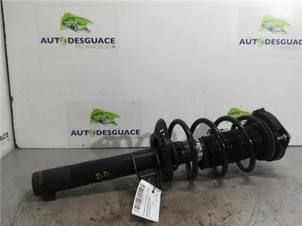 amortiguador delantero derecho volkswagen golf v (1k1)(10.2003 >2008) 1.9 tdi