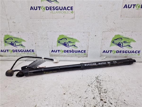 Amortiguador Porton Trasero Derecho