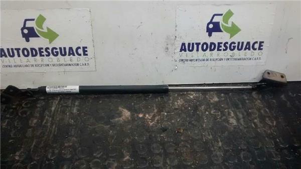 amortiguador porton suzuki liana rh 14 16v dd