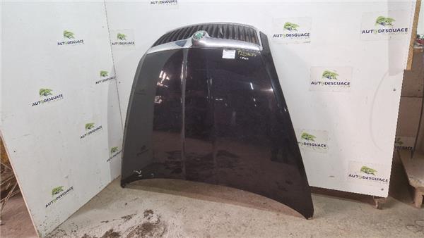 capo skoda octavia berlina 1z3 2008 16 colle