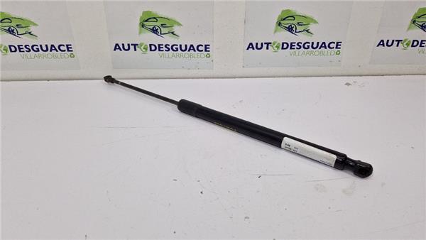 Amortiguador Porton Trasero Derecho