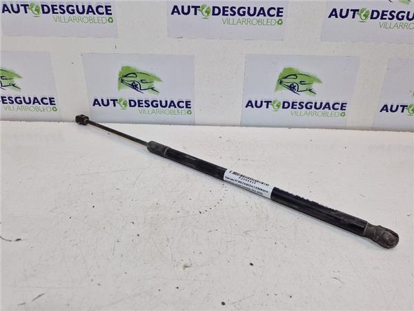 Amortiguador Porton Trasero Seat ST