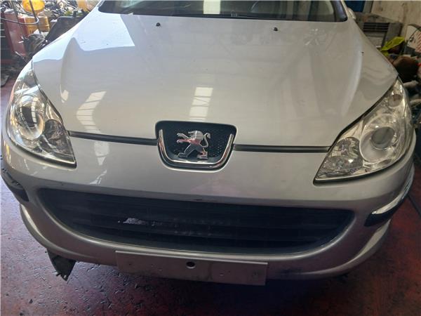 capo peugeot 407 (2004 >) 2.0 st confort [2,0 ltr.   100 kw 16v cat (rfn / ew10j4)]