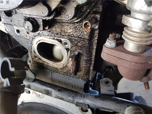 culata seat cordoba berlina 6k2 081999  19 st
