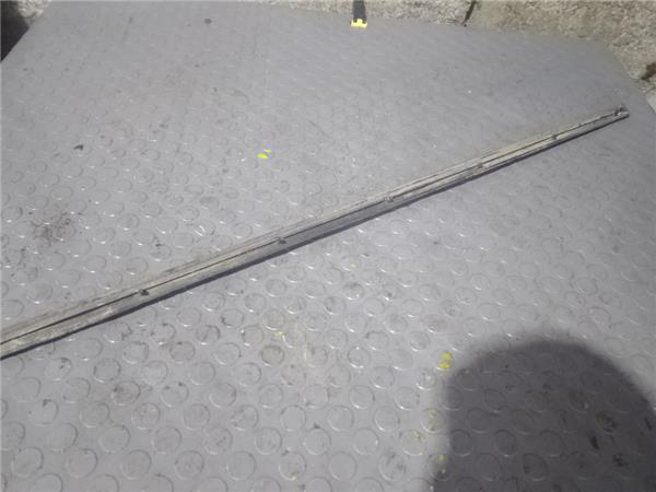 Moldura Puerta Trasera Izquierda 300