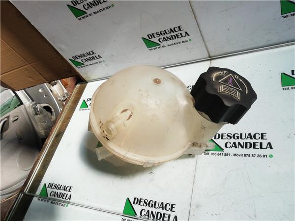 Botella Expansion Peugeot 308 (2007->) foto 4
