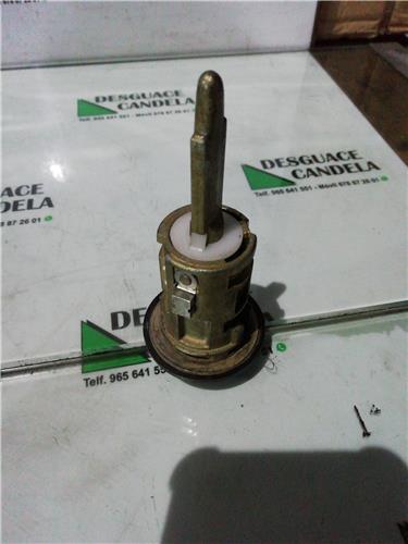 Bombin Puerta Delantera Derecha Ford Transit Connect (TC7)(2002->) foto 3