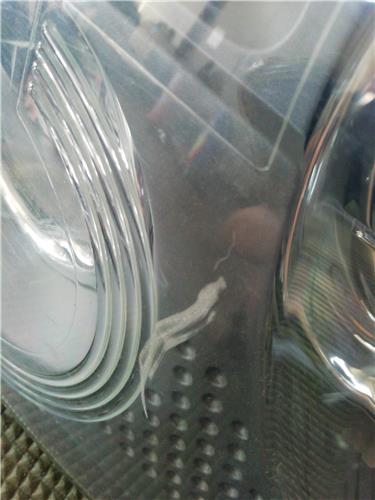 Faro Delantero Derecho Land Rover Range Rover Sport (01.2005->) foto 3