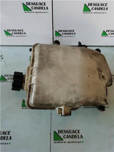 Botella Expansion Peugeot 206 (1998->)