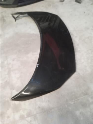 capo renault scenic ii jm 2003  19 confort au