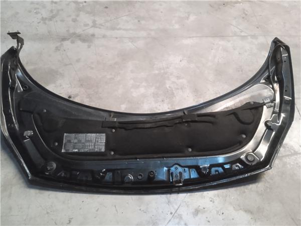 Capo Renault Scenic II (JM)(2003->) foto 3