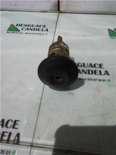 Bombin Puerta Delantera Izquierda Ford Transit Connect (TC7)(2002->) foto 2