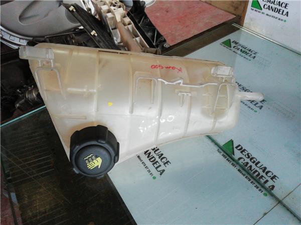 Botella Expansion Renault Kangoo II (F/KW0)(2008->)