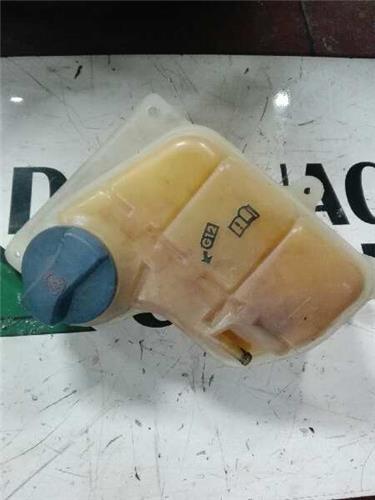 botella expansion volkswagen passat berlina 1