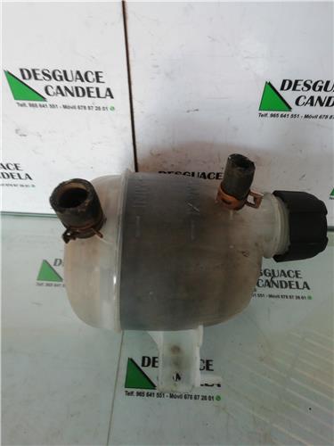 Botella Expansion Renault Kangoo I (F/KC0)(1997->) foto 5