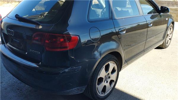 Porton Trasero Audi A3 (8P1)(05.2003->)