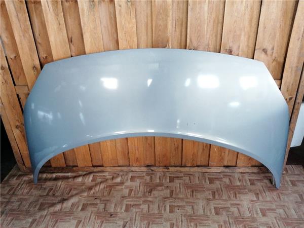 Capo Renault Scenic II (JM)(2003->)