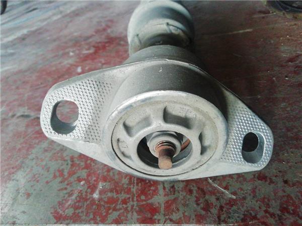 Amortiguador Trasero Derecho Citroen C4 Sedan (2008->) foto 3