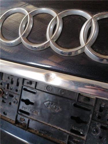 Porton Trasero Audi A6 Berlina (4F2)(2004->) foto 3