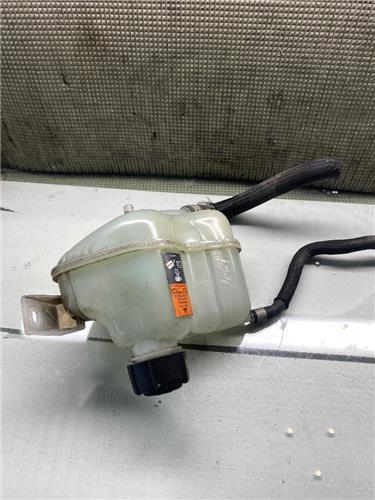 Botella Expansion Nissan Qashqai (J11E)(2013->) foto 2