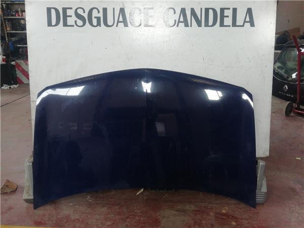 Capo Renault MEGANE II CLASSIC BERLINA foto 3