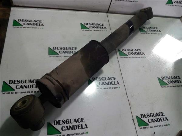 Amortiguador Trasero Izquierdo