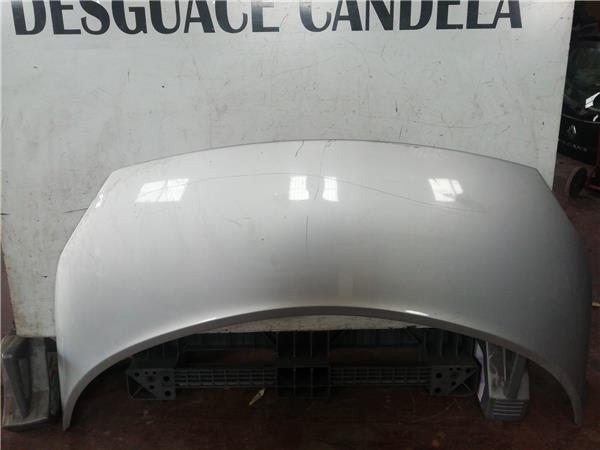 Capo Renault SCENIC II foto 2