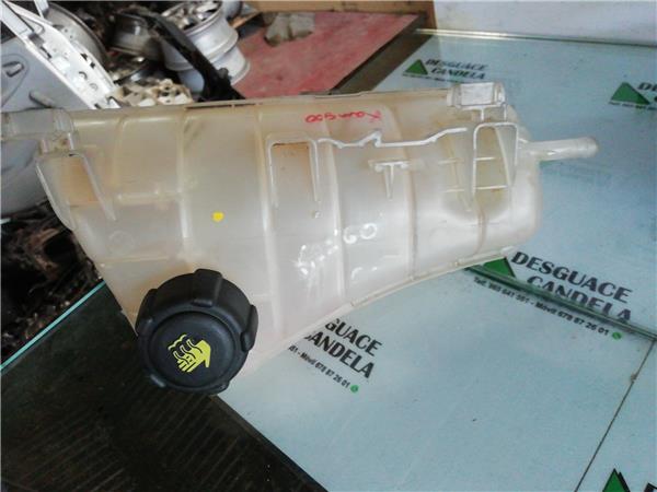 Botella Expansion Renault Kangoo II (F/KW0)(2008->) foto 5