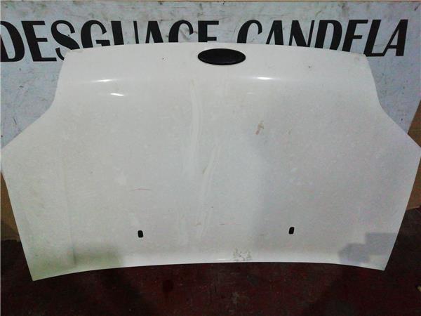Capo Ford Transit Connect (TC7)(2002->) foto 3