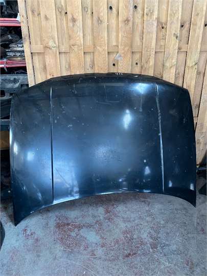 Capo Volkswagen Golf IV Berlina (1J1)(10.1997->2004)