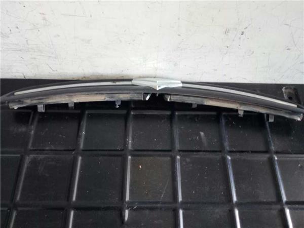 Rejilla Capo Citroen XSARA PICASSO foto 4