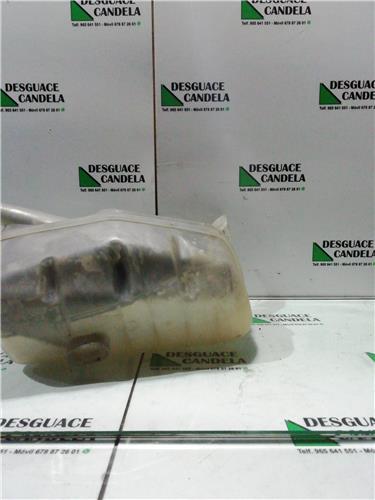Botella Expansion Renault Megane II Berlina 5P (10.2002->) foto 3