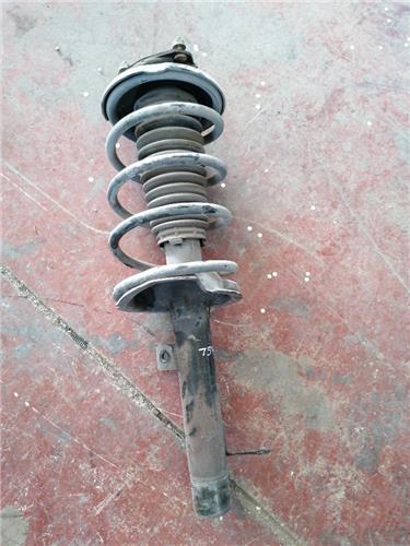 Amortiguador Delantero Derecho Ford Focus Berlina (CAK)(1998->)