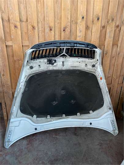 Capo Skoda Octavia Combi (1Z5)(2008->) foto 2