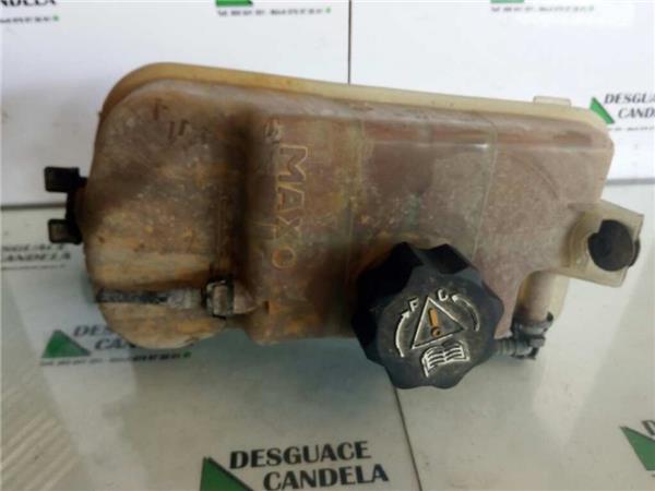 Botella Expansion Peugeot Partner (S2)(2002->) foto 4