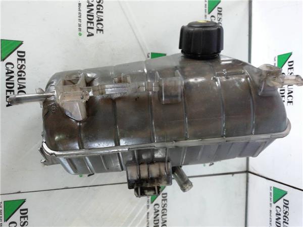 Botella Expansion Renault Kangoo II (F/KW0)(2008->) foto 2