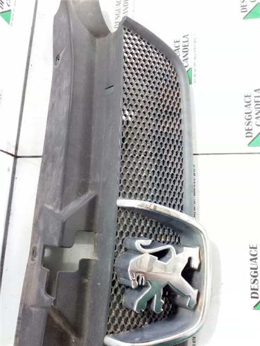 Rejilla Capo Peugeot 406 BERLINA foto 3