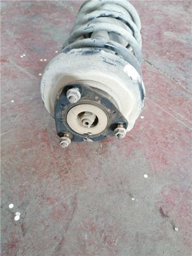Amortiguador Delantero Derecho Ford Focus Berlina (CAK)(1998->) foto 2