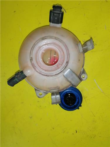 Botella Expansion Audi A3 (8P1)(05.2003->) foto 2