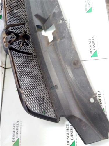 Rejilla Capo Peugeot 406 BERLINA foto 4