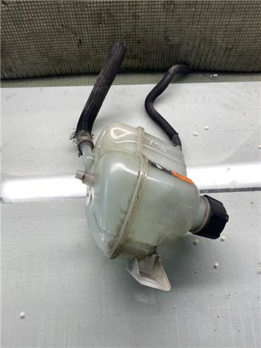 Botella Expansion Nissan Qashqai (J11E)(2013->) foto 3