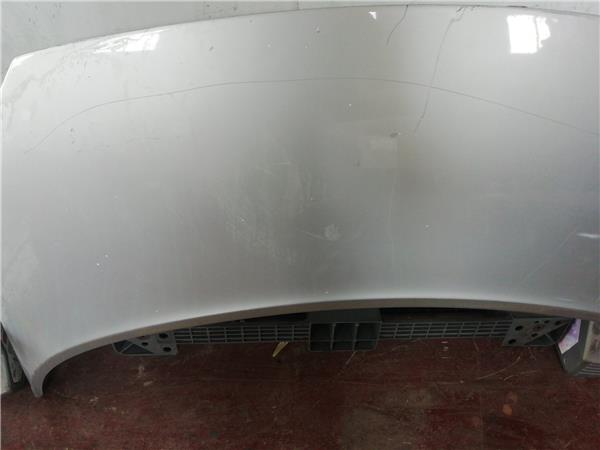 Capo Renault SCENIC II
