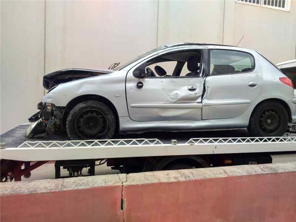Columna Direccion Peugeot 206 (1998->)