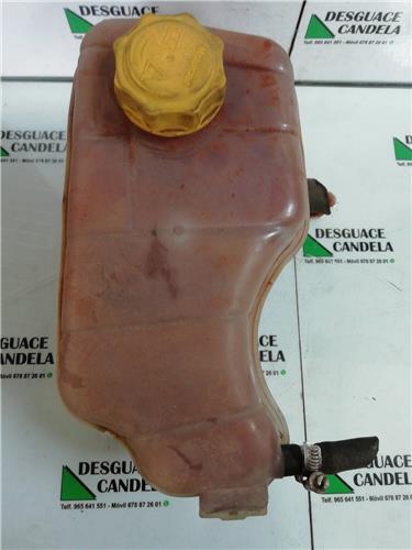 Botella Expansion Ford Fiesta Berlina (1996->)