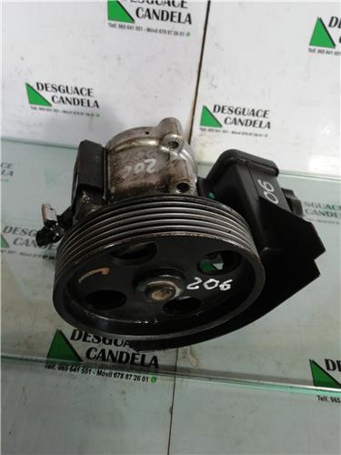 Bomba Servodireccion Peugeot 206 (1998->)